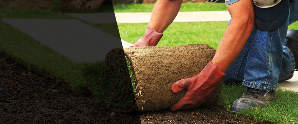 Fortescue Landscapers